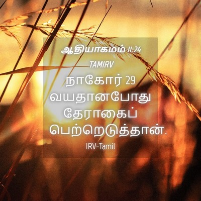 Picture 04 - ஆதியாகமம் 11:24 TAMIRV - நாகோர் 29 வயதானபோது - Bible Verse Picture