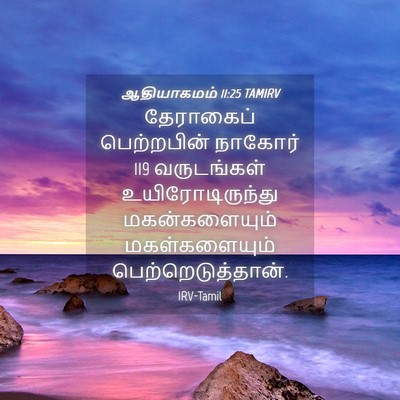 Picture 04 - ஆதியாகமம் 11:25 TAMIRV - தேராகைப் - Bible Verse Picture