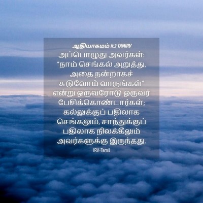 Picture 04 - ஆதியாகமம் 11:3 TAMIRV - அப்பொழுது - Bible Verse Picture