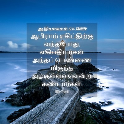 Picture 04 - ஆதியாகமம் 12:14 TAMIRV - ஆபிராம் - Bible Verse Picture