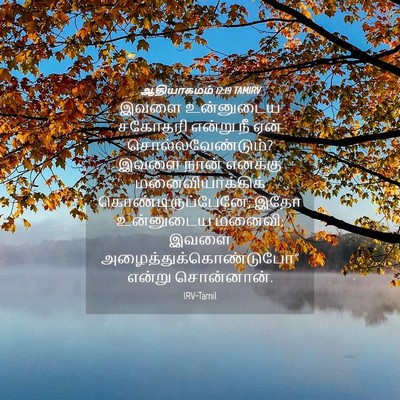 Picture 04 - ஆதியாகமம் 12:19 TAMIRV - இவளை உன்னுடைய - Bible Verse Picture