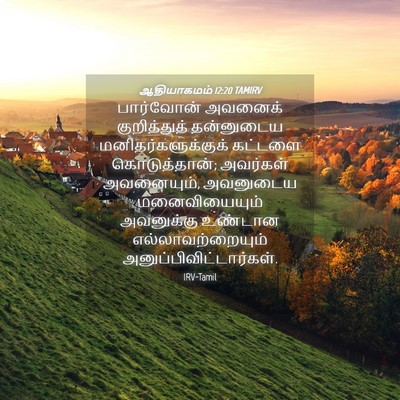 Picture 04 - ஆதியாகமம் 12:20 TAMIRV - பார்வோன் அவனைக் - Bible Verse Picture