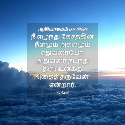 Picture 04 - ஆதியாகமம் 13:17 TAMIRV - நீ எழுந்து - Bible Verse Picture