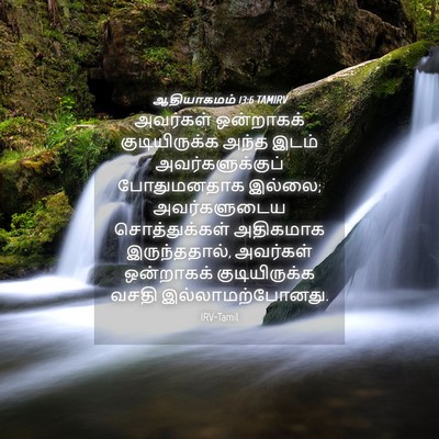 Picture 04 - ஆதியாகமம் 13:6 TAMIRV - அவர்கள் ஒன்றாகக் - Bible Verse Picture
