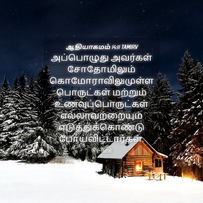 Picture 04 - ஆதியாகமம் 14:11 TAMIRV - அப்பொழுது அவர்கள் - Bible Verse Picture