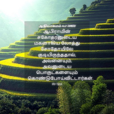 Picture 04 - ஆதியாகமம் 14:12 TAMIRV - ஆபிராமின் - Bible Verse Picture