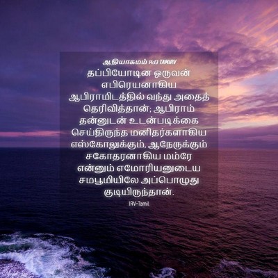Picture 04 - ஆதியாகமம் 14:13 TAMIRV - தப்பியோடின ஒருவன் - Bible Verse Picture