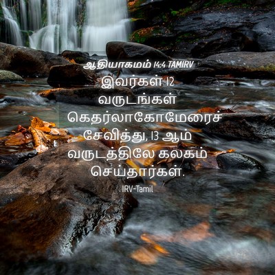 Picture 04 - ஆதியாகமம் 14:4 TAMIRV - இவர்கள் 12 - Bible Verse Picture