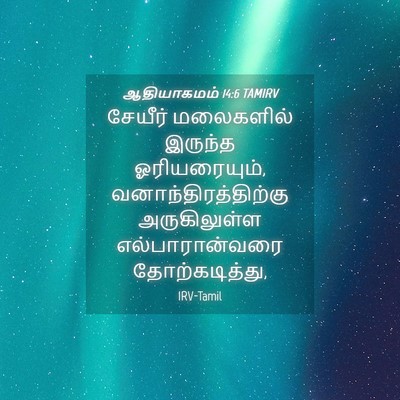 Picture 04 - ஆதியாகமம் 14:6 TAMIRV - சேயீர் மலைகளில் - Bible Verse Picture