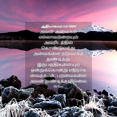 Picture 04 - ஆதியாகமம் 15:10 TAMIRV - அவன் அவைகள் - Bible Verse Picture