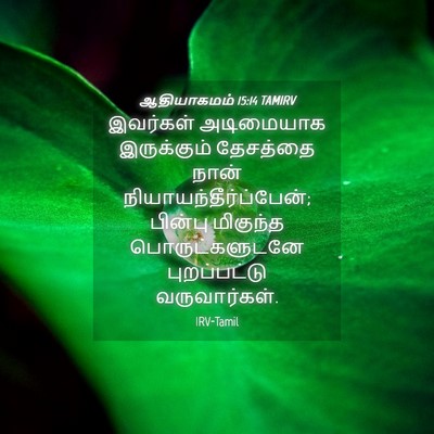 Picture 04 - ஆதியாகமம் 15:14 TAMIRV - இவர்கள் அடிமையாக - Bible Verse Picture