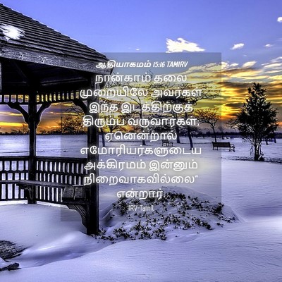 Picture 04 - ஆதியாகமம் 15:16 TAMIRV - நான்காம் தலை - Bible Verse Picture