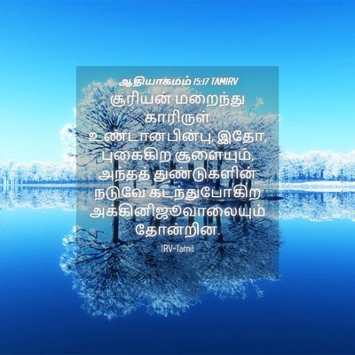 Picture 04 - ஆதியாகமம் 15:17 TAMIRV - சூரியன் மறைந்து - Bible Verse Picture