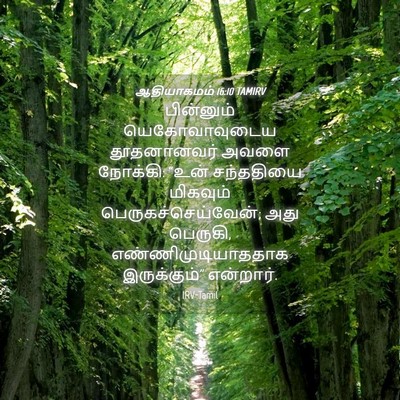 Picture 04 - ஆதியாகமம் 16:10 TAMIRV - பின்னும் - Bible Verse Picture