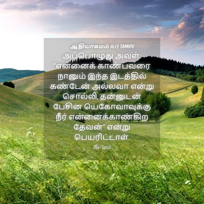 Picture 04 - ஆதியாகமம் 16:13 TAMIRV - அப்பொழுது அவள்: - Bible Verse Picture