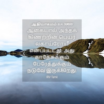 Picture 04 - ஆதியாகமம் 16:14 TAMIRV - ஆகையால், அந்தக் - Bible Verse Picture