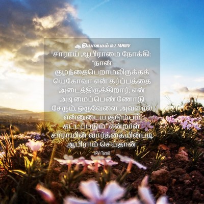 Picture 04 - ஆதியாகமம் 16:2 TAMIRV - சாராய் ஆபிராமை - Bible Verse Picture