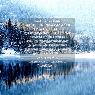 Picture 04 - ஆதியாகமம் 16:3 TAMIRV - ஆபிராம் - Bible Verse Picture