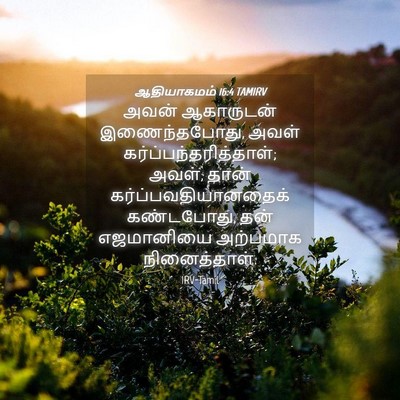 Picture 04 - ஆதியாகமம் 16:4 TAMIRV - அவன் ஆகாருடன் - Bible Verse Picture