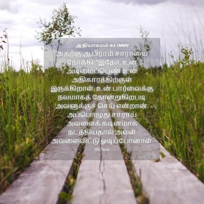 Picture 04 - ஆதியாகமம் 16:6 TAMIRV - அதற்கு ஆபிராம் - Bible Verse Picture