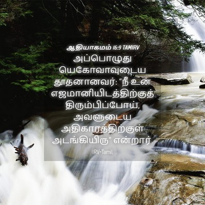 Picture 04 - ஆதியாகமம் 16:9 TAMIRV - அப்பொழுது - Bible Verse Picture