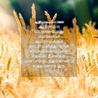 Picture 04 - ஆதியாகமம் 17:1 TAMIRV - ஆபிராம் 99 - Bible Verse Picture