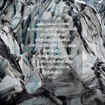 Picture 04 - ஆதியாகமம் 17:11 TAMIRV - உங்கள் - Bible Verse Picture