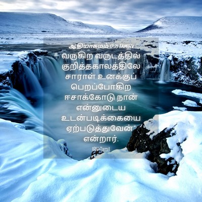 Picture 04 - ஆதியாகமம் 17:21 TAMIRV - வருகிற வருடத்தில் - Bible Verse Picture