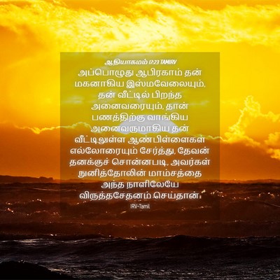 Picture 04 - ஆதியாகமம் 17:23 TAMIRV - அப்பொழுது - Bible Verse Picture
