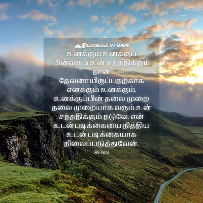 Picture 04 - ஆதியாகமம் 17:7 TAMIRV - உனக்கும் உனக்குப் - Bible Verse Picture