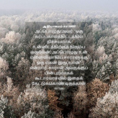 Picture 04 - ஆதியாகமம் 18:10 TAMIRV - அப்பொழுது அவர்: - Bible Verse Picture