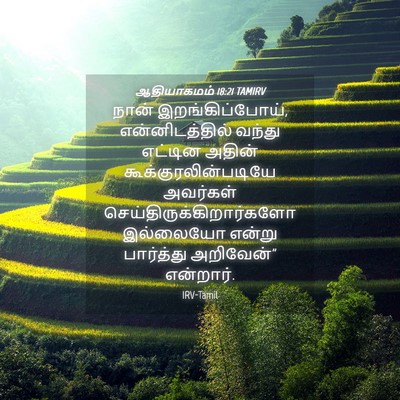Picture 04 - ஆதியாகமம் 18:21 TAMIRV - நான் - Bible Verse Picture