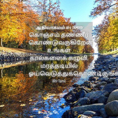 Picture 04 - ஆதியாகமம் 18:4 TAMIRV - கொஞ்சம் தண்ணீர் - Bible Verse Picture