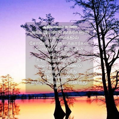 Picture 04 - ஆதியாகமம் 19:1 TAMIRV - அந்த இரண்டு - Bible Verse Picture