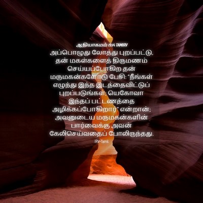 Picture 04 - ஆதியாகமம் 19:14 TAMIRV - அப்பொழுது லோத்து - Bible Verse Picture