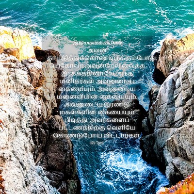 Picture 04 - ஆதியாகமம் 19:16 TAMIRV - அவன் - Bible Verse Picture