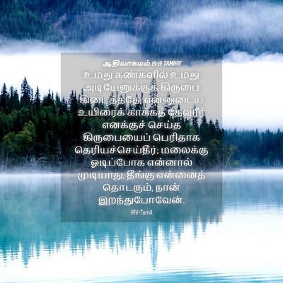Picture 04 - ஆதியாகமம் 19:19 TAMIRV - உமது கண்களில் - Bible Verse Picture