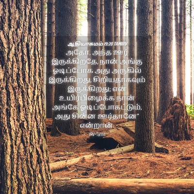 Picture 04 - ஆதியாகமம் 19:20 TAMIRV - அதோ, அந்த ஊர் - Bible Verse Picture