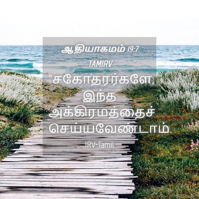Picture 04 - ஆதியாகமம் 19:7 TAMIRV - “சகோதரர்களே, இந்த - Bible Verse Picture