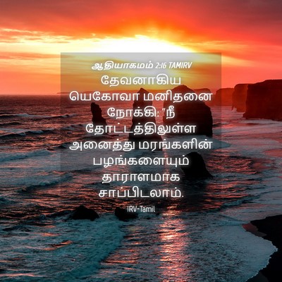 Picture 04 - ஆதியாகமம் 2:16 TAMIRV - தேவனாகிய யெகோவா - Bible Verse Picture