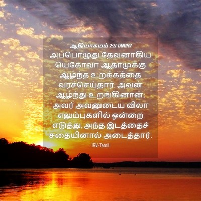 Picture 04 - ஆதியாகமம் 2:21 TAMIRV - அப்பொழுது - Bible Verse Picture