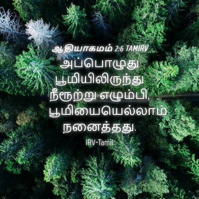 Picture 04 - ஆதியாகமம் 2:6 TAMIRV - அப்பொழுது - Bible Verse Picture