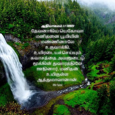 Picture 04 - ஆதியாகமம் 2:7 TAMIRV - தேவனாகிய யெகோவா - Bible Verse Picture