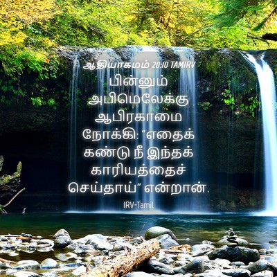 Picture 04 - ஆதியாகமம் 20:10 TAMIRV - பின்னும் - Bible Verse Picture