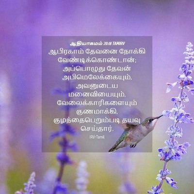 Picture 04 - ஆதியாகமம் 20:18 TAMIRV - ஆபிரகாம் தேவனை - Bible Verse Picture
