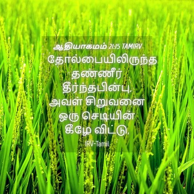 Picture 04 - ஆதியாகமம் 21:15 TAMIRV - தோல்பையிலிருந்த - Bible Verse Picture