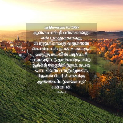Picture 04 - ஆதியாகமம் 21:23 TAMIRV - ஆகையால், நீ - Bible Verse Picture