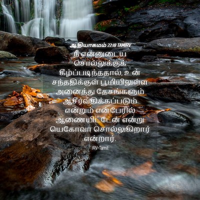 Picture 04 - ஆதியாகமம் 22:18 TAMIRV - நீ என்னுடைய - Bible Verse Picture