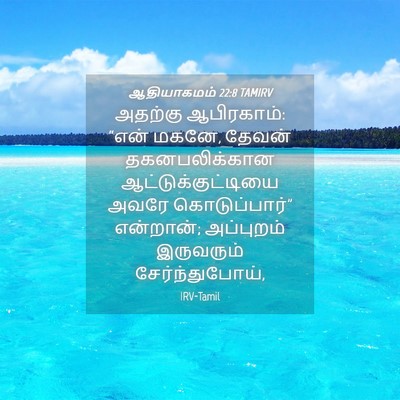 Picture 04 - ஆதியாகமம் 22:8 TAMIRV - அதற்கு ஆபிரகாம்: - Bible Verse Picture