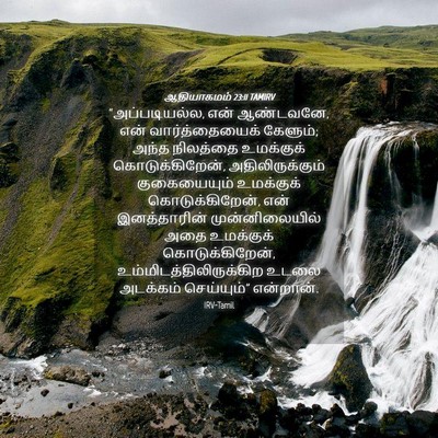 Picture 04 - ஆதியாகமம் 23:11 TAMIRV - “அப்படியல்ல, என் - Bible Verse Picture